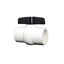Image de VALVE BILLE PVC 1-1/2" FIPT