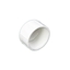 Picture of PVC CAP 2-1/2" FIPT