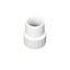 Picture of PVC ADAPT. 3" SP-FIPT